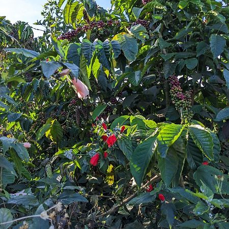 Ivy Coffee Farm - Garden House Apartment Duc Trong Екстериор снимка