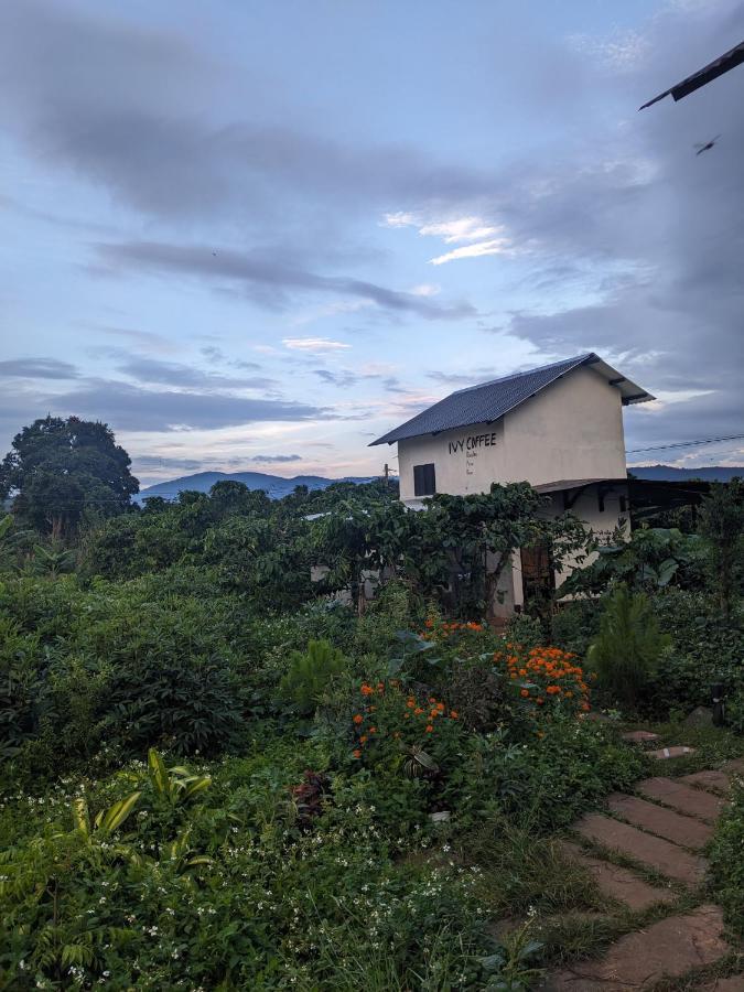 Ivy Coffee Farm - Garden House Apartment Duc Trong Екстериор снимка