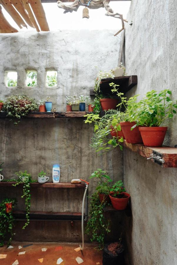 Ivy Coffee Farm - Garden House Apartment Duc Trong Екстериор снимка