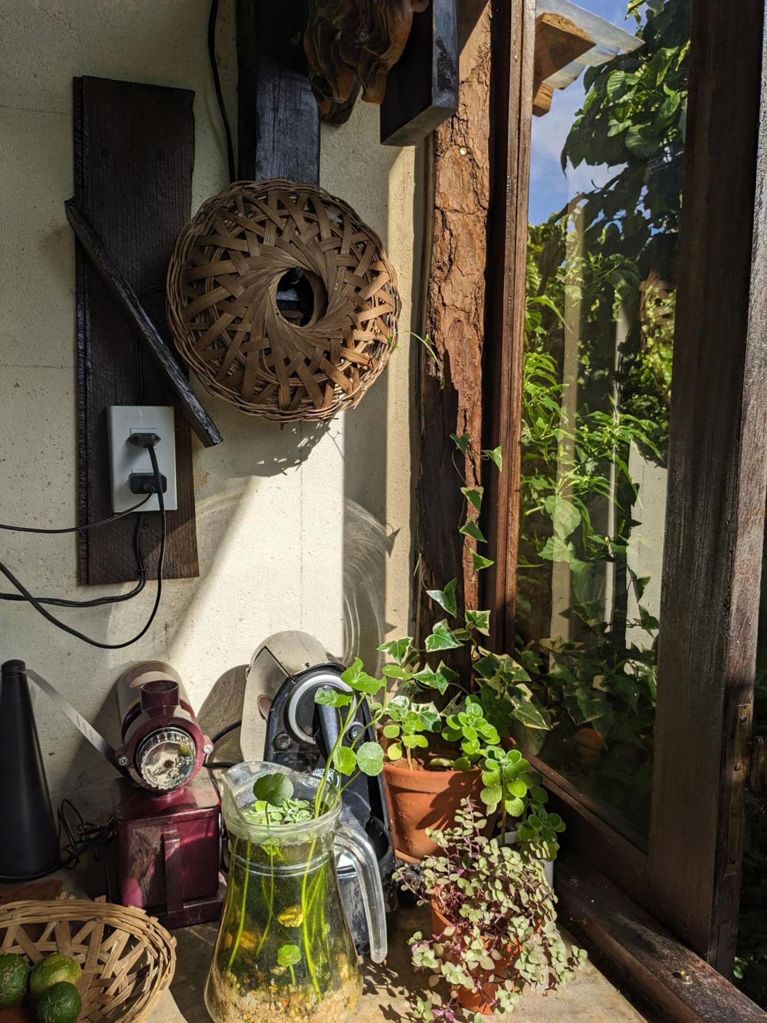 Ivy Coffee Farm - Garden House Apartment Duc Trong Екстериор снимка