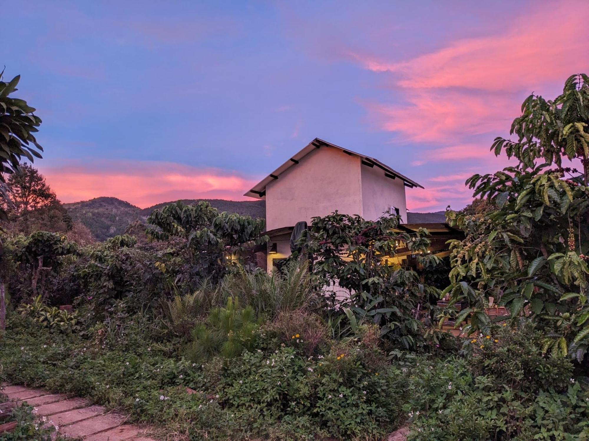 Ivy Coffee Farm - Garden House Apartment Duc Trong Екстериор снимка