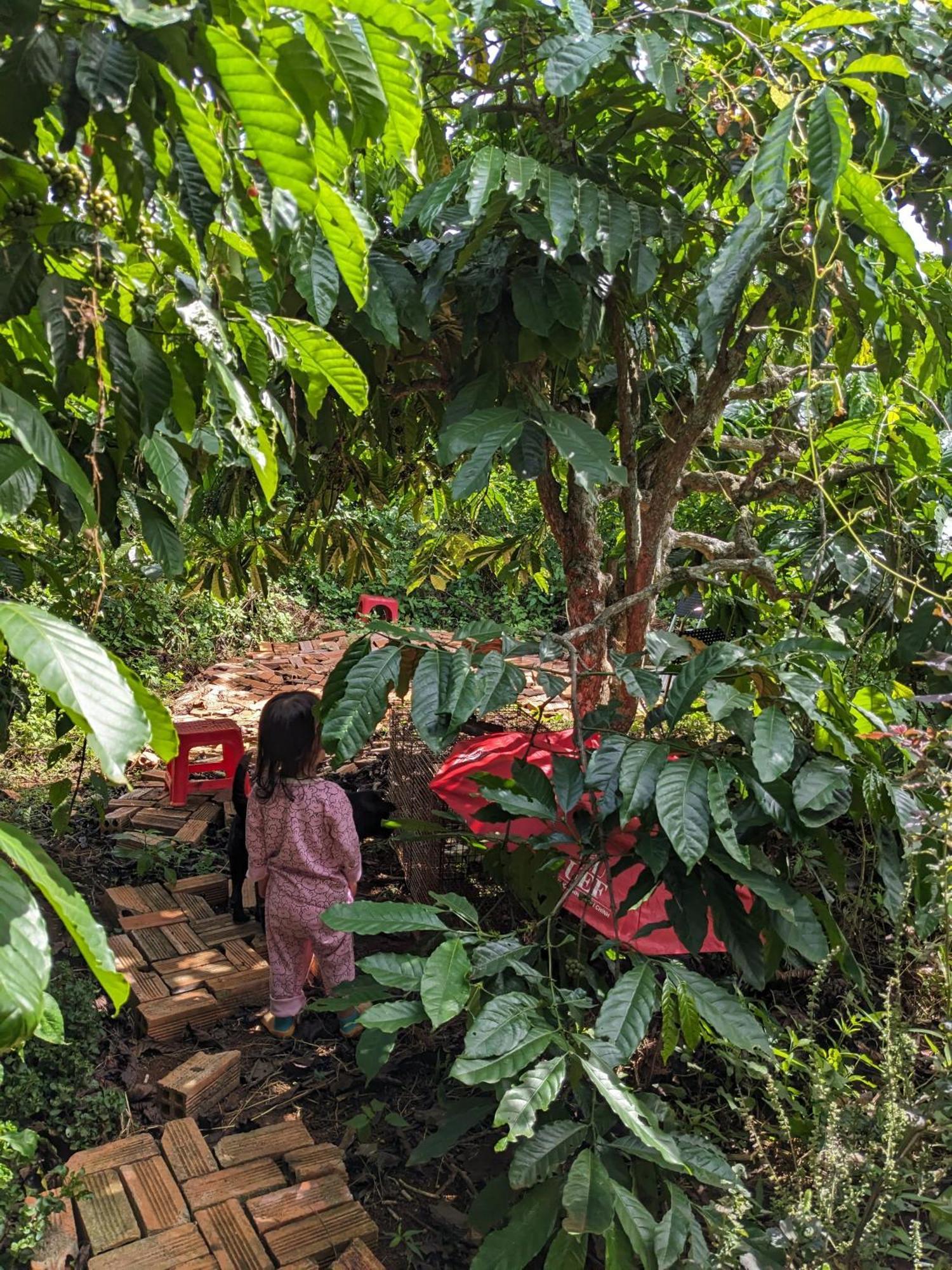 Ivy Coffee Farm - Garden House Apartment Duc Trong Екстериор снимка