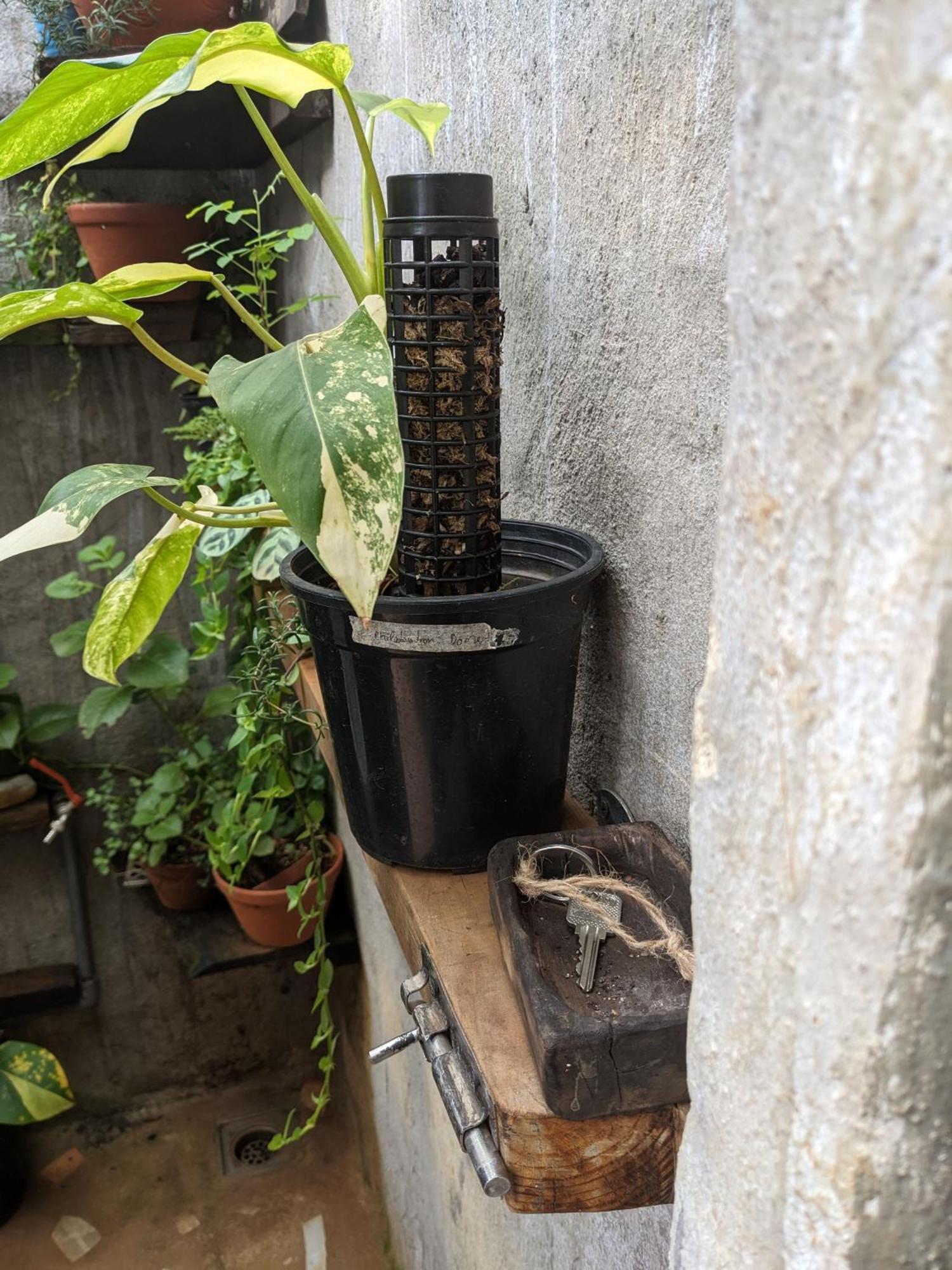 Ivy Coffee Farm - Garden House Apartment Duc Trong Екстериор снимка