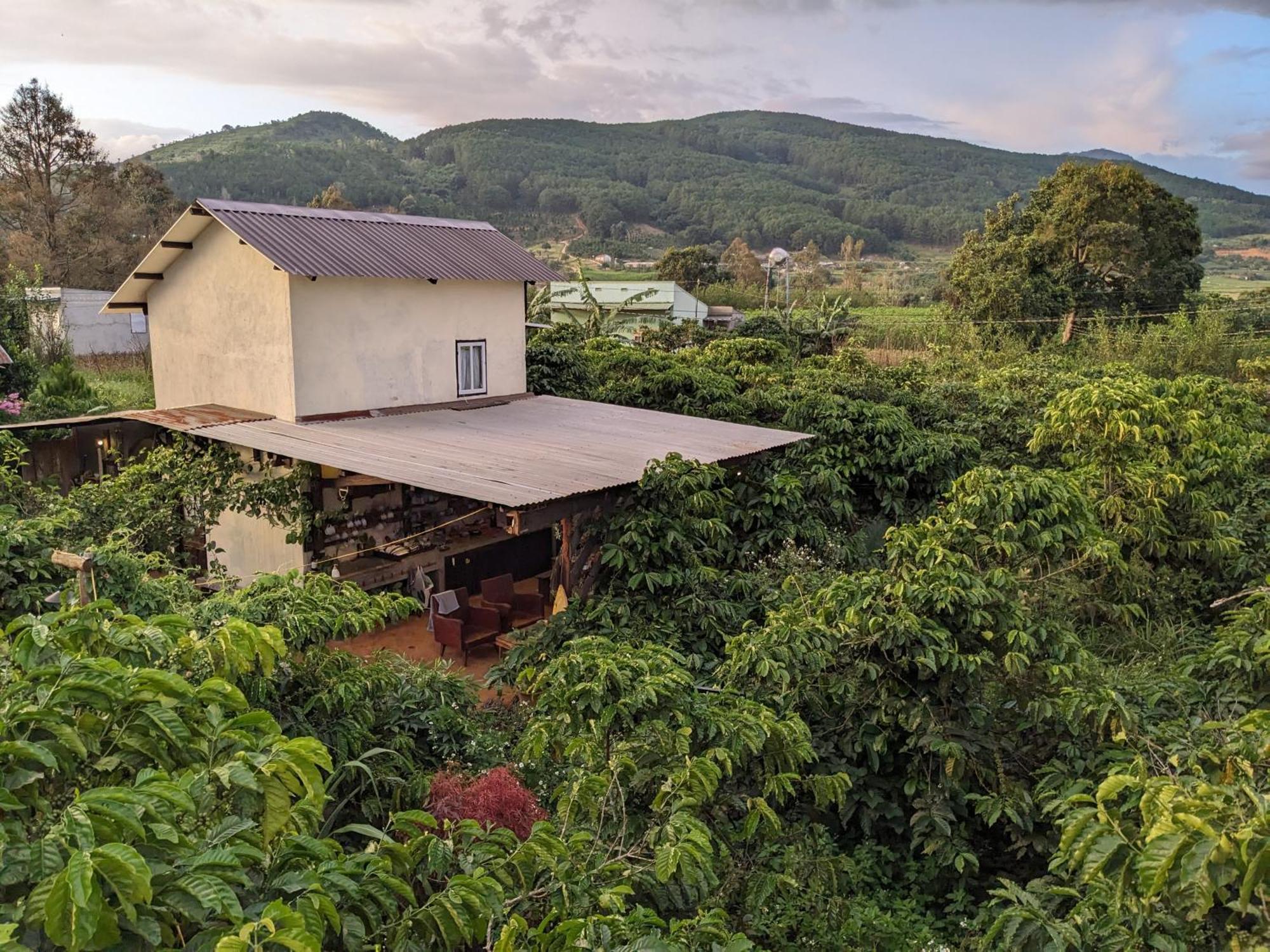 Ivy Coffee Farm - Garden House Apartment Duc Trong Екстериор снимка